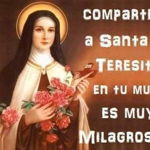 Meet your Posher, Felicitas